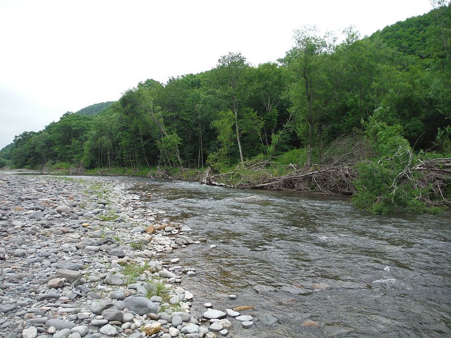 b0172805_00001613.jpg