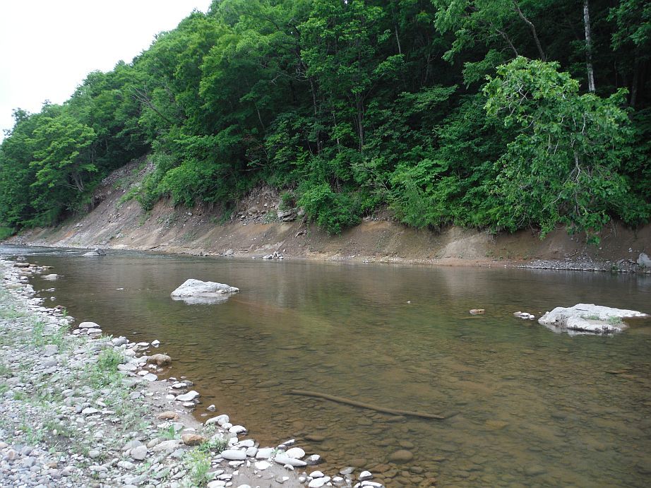 b0172805_00344001.jpg