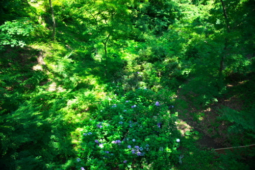a0263109_13543153.jpg