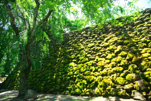 a0263109_13551439.jpg
