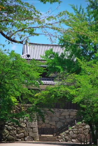 a0263109_14021755.jpg