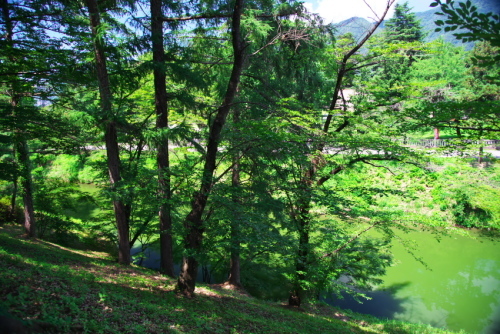 a0263109_14021990.jpg
