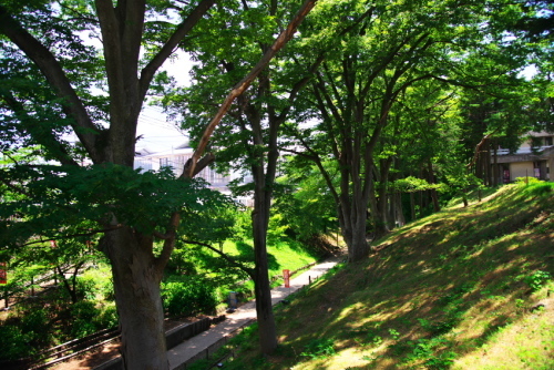 a0263109_14042156.jpg