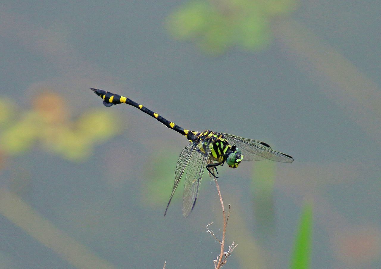 d0360910_14141645.jpg