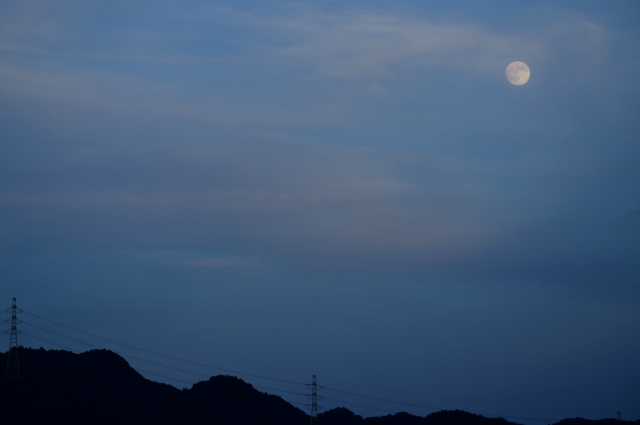 f0368610_23362565.jpg