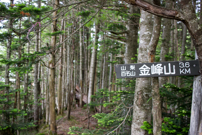 b0244811_1616154.jpg