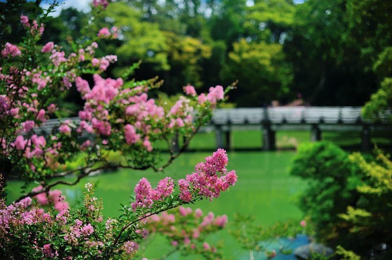 f0032011_17244900.jpg