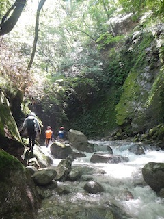 c0359615_13431177.jpg