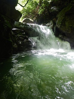 c0359615_13434598.jpg