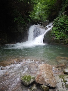 c0359615_13450914.jpg