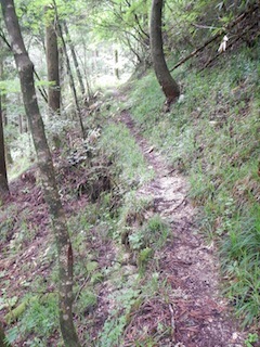 c0359615_13500124.jpg