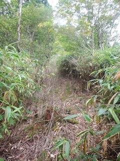 c0359615_13504130.jpg