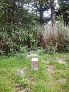 c0359615_13505345.jpg