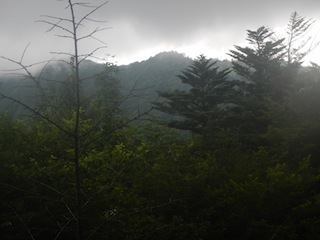c0359615_13515772.jpg