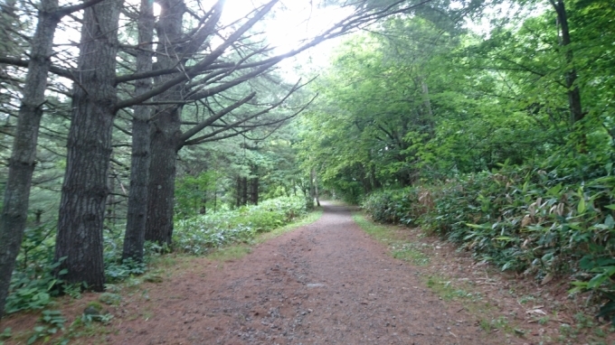 f0182618_02120778.jpg