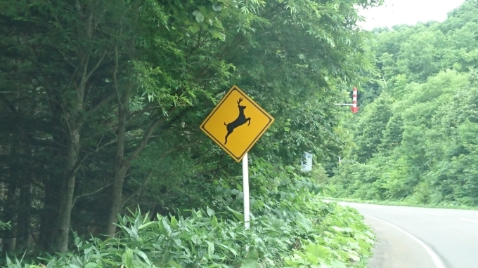 f0182618_13335143.jpg