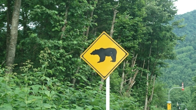 f0182618_13340120.jpg