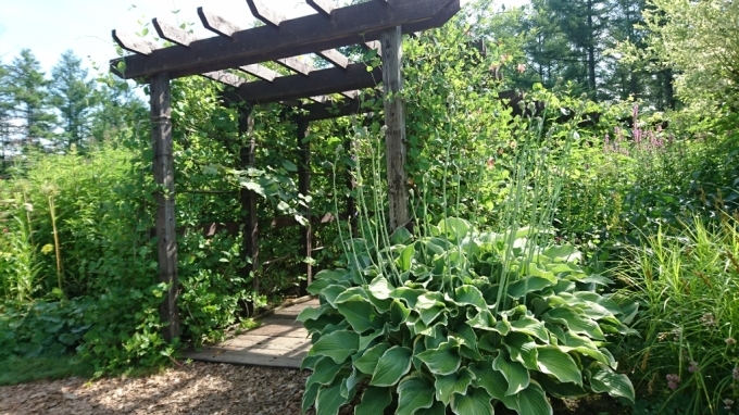 f0182618_16301679.jpg