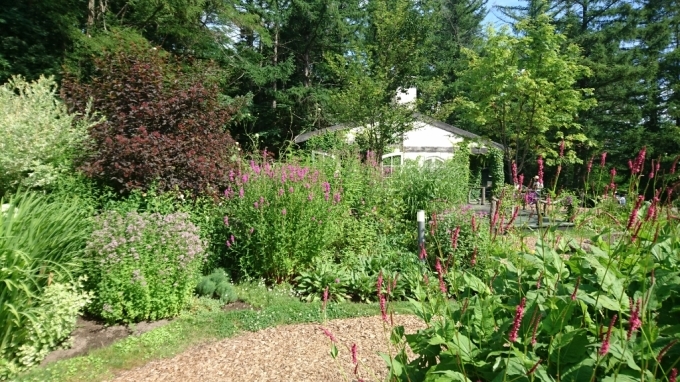 f0182618_16302217.jpg