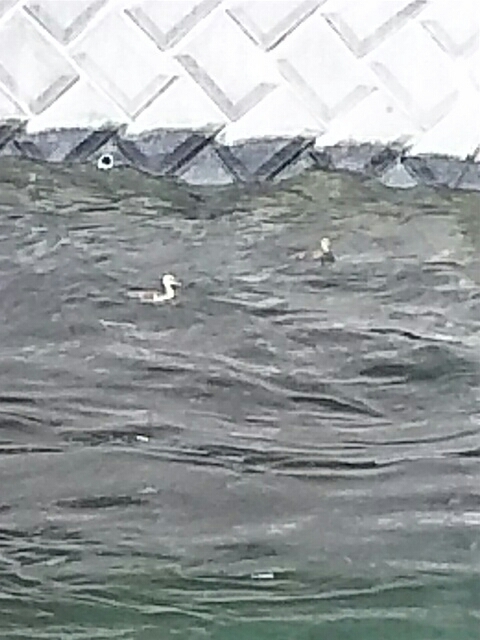 f0235318_10014131.jpg