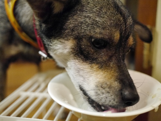 f0282319_02500055.jpg