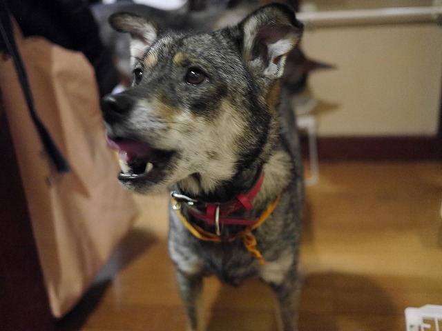 f0282319_02500810.jpg