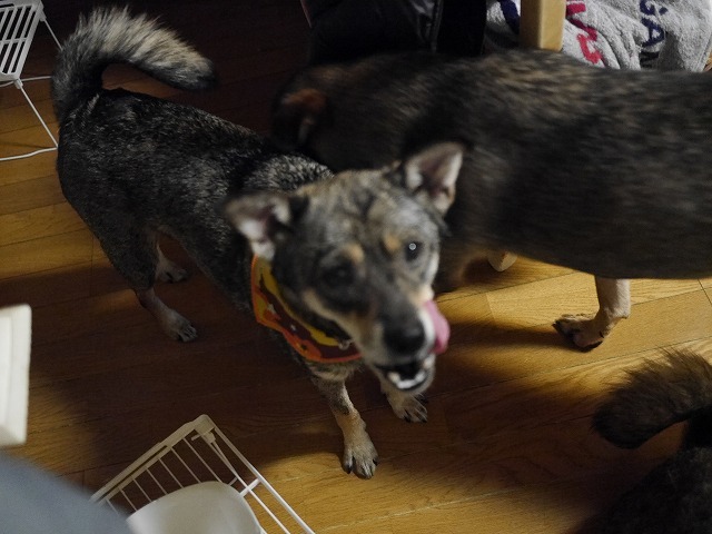 f0282319_02501951.jpg