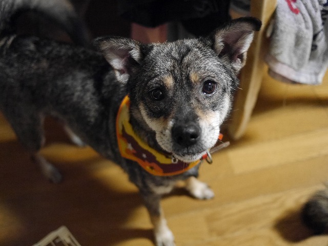 f0282319_02503985.jpg