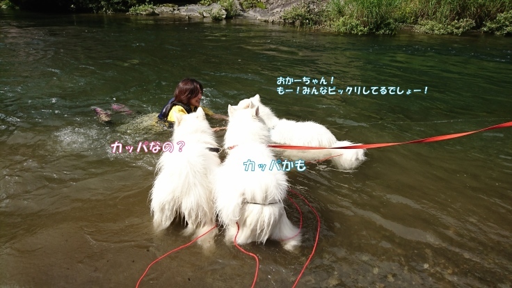 f0234023_21133834.jpg