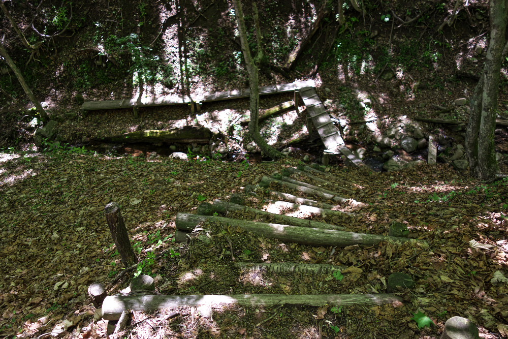 d0137627_23461341.jpg
