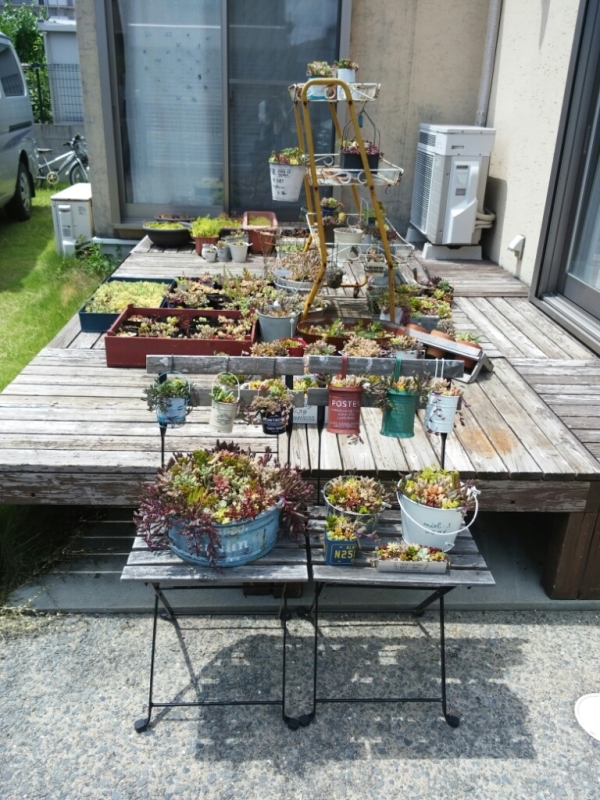 f0277327_22415254.jpg