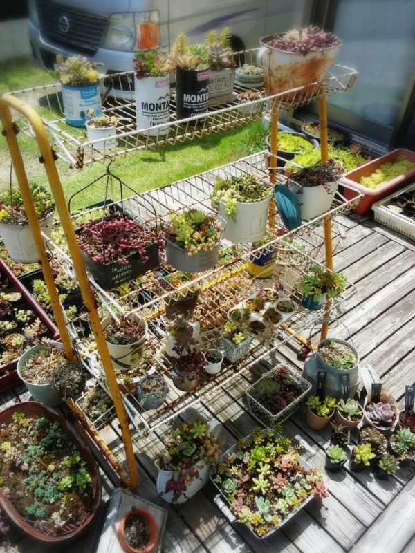f0277327_22415997.jpg