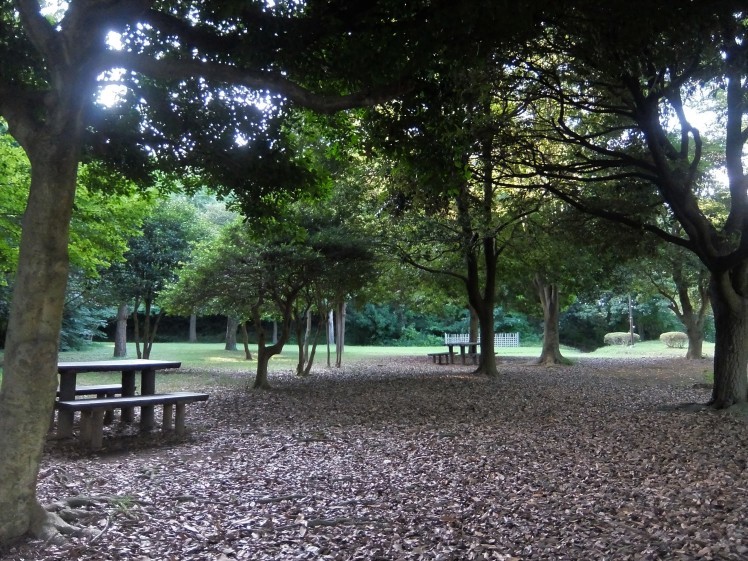 f0363628_18155639.jpg