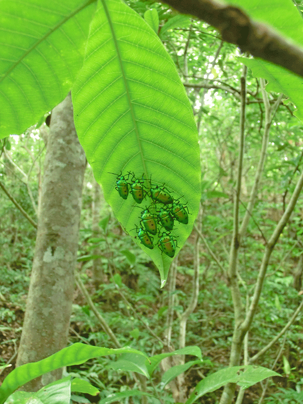 a0126632_07561260.gif