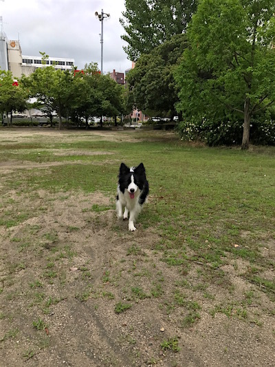 d0370734_00422507.jpg