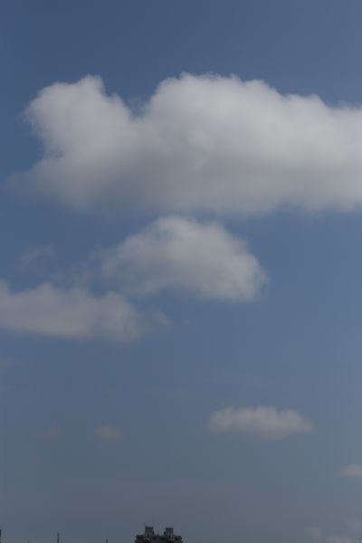b0058936_21410108.jpg