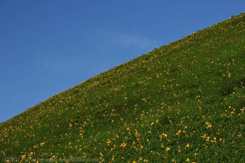 e0362037_23135077.jpg