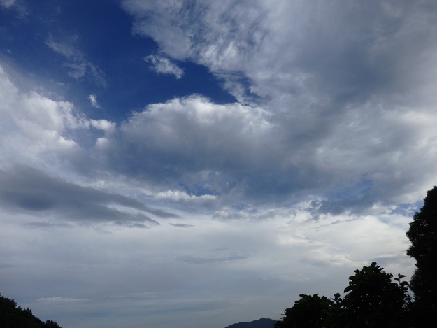 a0054240_22305811.jpg