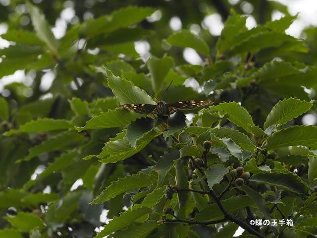 b0107948_18230237.jpg
