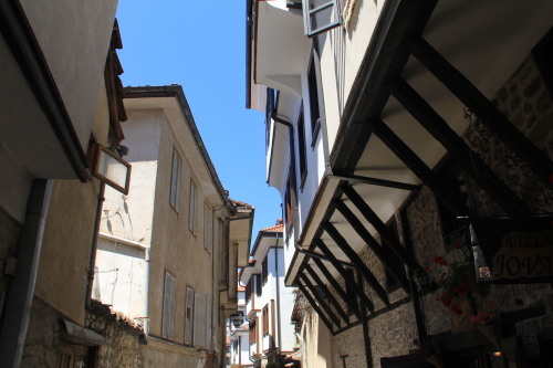 c0011649_08141521.jpg