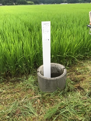 f0379149_17322395.jpg