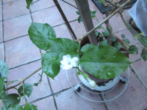 b0247153_01300579.jpg
