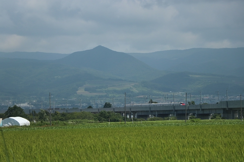 b0250154_22080615.jpg