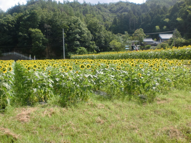 d0154954_21062579.jpg