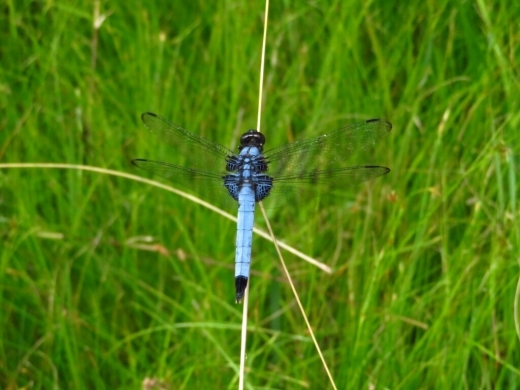 a0018655_14445264.jpg