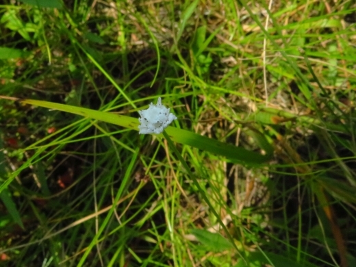 a0018655_15340147.jpg