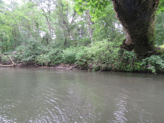 b0366555_12445615.jpg