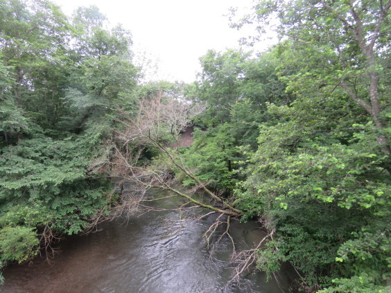 b0366555_12535556.jpg