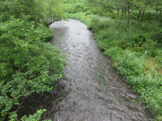 b0366555_12562158.jpg
