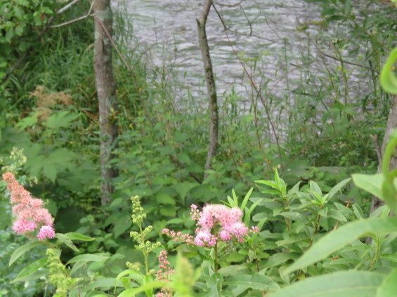 b0366555_12564139.jpg
